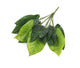 Artificial 30cm Variegated Taro Plug Plant - Closer2Nature