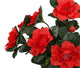 Artificial 27cm Red Azalea Plug Plant - Closer2Nature