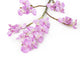 Artificial 69cm Single Stem Purple Miniature Phalaenopsis Orchid - Closer2Nature