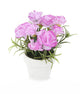 Artificial 15cm Mixed Carnation Plants with Gift Box Collection - Closer2Nature