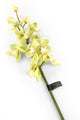 Artificial 84cm Single Stem Green Cymbidium Orchid - Closer2Nature