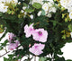 Artificial White Geranium and Pink Morning Glory Display in a 14″ Round Willow Hanging Basket - Closer2Nature
