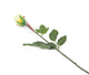 Artificial 60cm Single Stem Closed Bud Yellow and Cream Rose - Closer2Nature