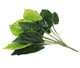 Artificial 30cm Variegated Taro Plug Plant - Closer2Nature