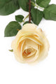 Artificial 72cm Single Stem Fully Open Pale Yellow Rose - Closer2Nature
