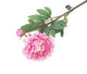 Artificial 80cm Single Stem Pink Peony - Closer2Nature