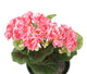Artificial 24cm Pink Zonal Geranium Plug Plant - Closer2Nature