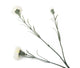 Artificial 70cm Single Stem White Carnation - Closer2Nature