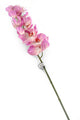Artificial 109cm Single Stem Lilac Phalaenopsis Orchid - Closer2Nature