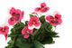 Artificial 30cm Pink Pansy Plug Plant - Closer2Nature