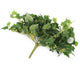 Artificial 25cm Green Ivy Plug Plant - Closer2Nature