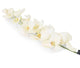Artificial 109cm Single Stem White Phalaenopsis Orchid - Closer2Nature