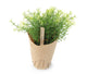 Artificial 17cm Dill Herb Plant - Closer2Nature