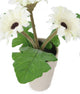 Artificial 21cm Cream Gerbera Plant - Closer2Nature