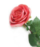 Artificial 72cm Single Stem Fully Open Coral Pink Rose - Closer2Nature