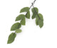 Artificial 80cm Single Stem Elder Leaf Spray - Closer2Nature