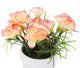 Artificial 15cm Peach Carnation Plant with Gift Box - Closer2Nature