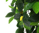 Artificial 3ft 3″ Lemon Tree - Closer2Nature