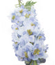 Artificial 105cm Single Stem Blue Candle Larkspur - Closer2Nature