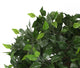 Artificial 3ft 5″ Danielle Weeping Fig Tree - Closer2Nature