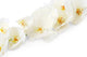 Artificial 109cm Single Stem White Phalaenopsis Orchid - Closer2Nature
