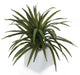 Artificial 2ft 1″ Yucca Plant - Closer2Nature