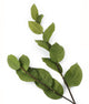 Artificial 80cm Single Stem Elder Leaf Spray - Closer2Nature