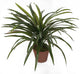 Artificial 2ft 1″ Yucca Plant - Closer2Nature