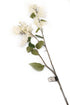 Artificial 107cm Single Stem White Bougainvillea