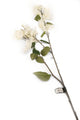 Artificial 107cm Single Stem White Bougainvillea - Closer2Nature