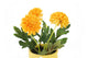 Artificial 19cm Golden Yellow Chrysanthemum Plant with Gift Box - Closer2Nature