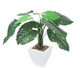 Artificial 2ft Taro Plant - Closer2Nature