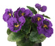 Artificial 30cm Purple Pansy Plug Plant - Closer2Nature