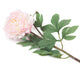 Artificial 80cm Single Stem Pale Pink Peony - Closer2Nature