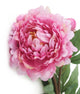 Artificial 80cm Single Stem Pink Peony - Closer2Nature