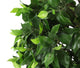 Artificial 3ft 5″ Danielle Weeping Fig Tree - Closer2Nature