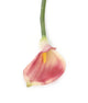 Artificial 94cm Single Stem Purple Calla Lily - Closer2Nature
