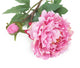 Artificial 80cm Single Stem Pink Peony - Closer2Nature