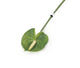 Artificial 64cm Single Stem Green Anthurium - Closer2Nature