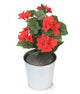 Artificial 24cm Red Begonia Plug Plant - Closer2Nature
