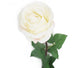 Artificial 72cm Single Stem Fully Open White Rose - Closer2Nature