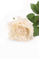 Artificial 92cm Single Stem Fully Open Ivory and Pink Tipped Rose - Closer2Nature