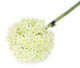 Artificial 89cm Single Stem White Allium - Closer2Nature