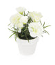 Artificial 15cm White Carnation Plant with Gift Box - Closer2Nature