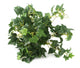 Artificial 25cm Green Ivy Plug Plant - Closer2Nature