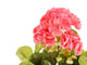 Artificial 24cm Pink Zonal Geranium Plug Plant - Closer2Nature