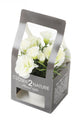 Artificial 15cm Mixed Carnation Plants with Gift Box Collection - Closer2Nature