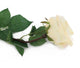 Artificial 72cm Single Stem Fully Open Pale Yellow Rose - Closer2Nature
