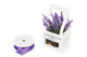 Artificial 18cm Purple Bellflower Plant with Gift Box - Closer2Nature