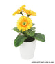 White Collection 13.5cm Tapered Round White Plant Pot - Closer2Nature